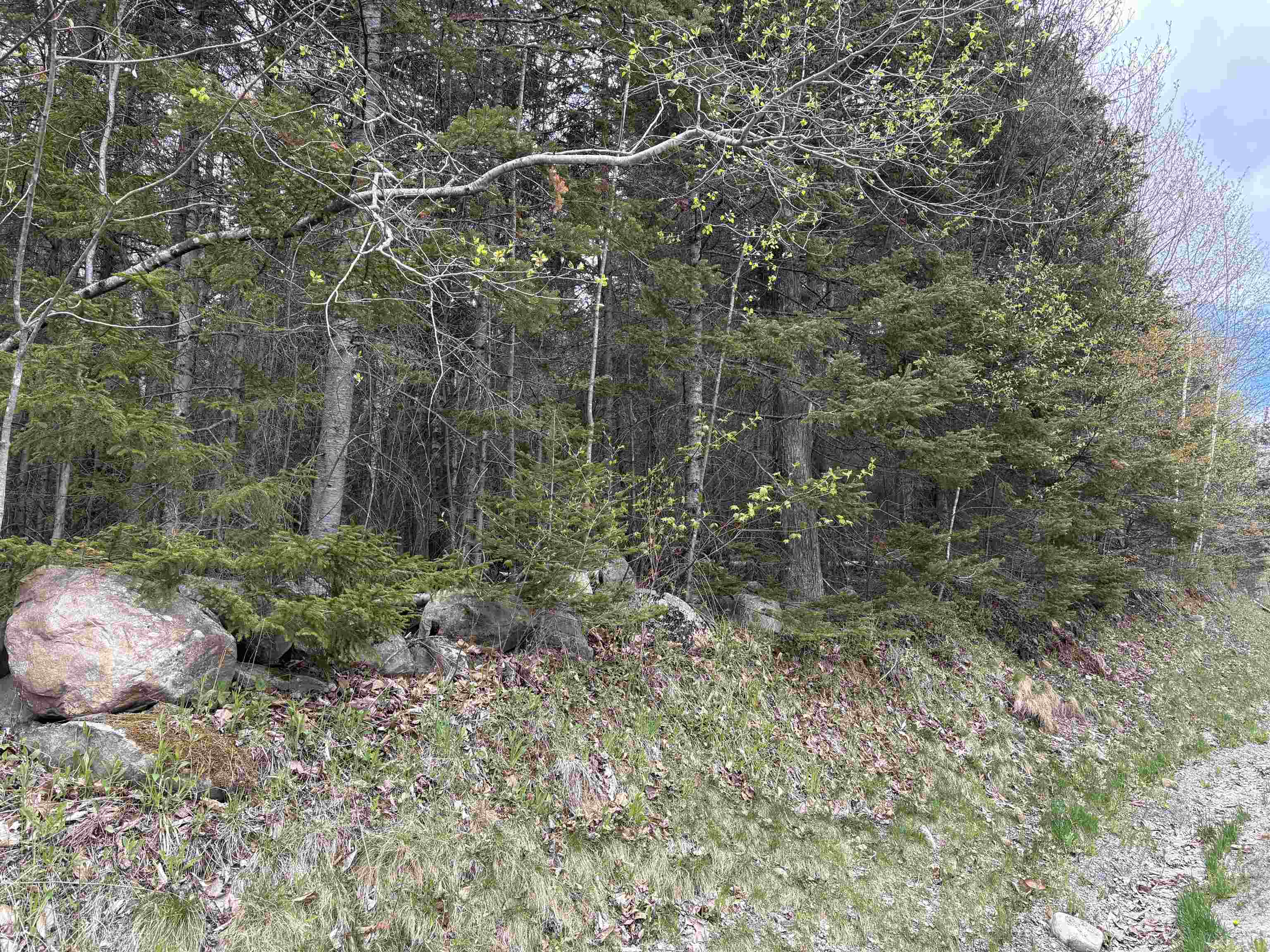 0 East Hill Road Andover, VT 05143 - Photo 15 of 17