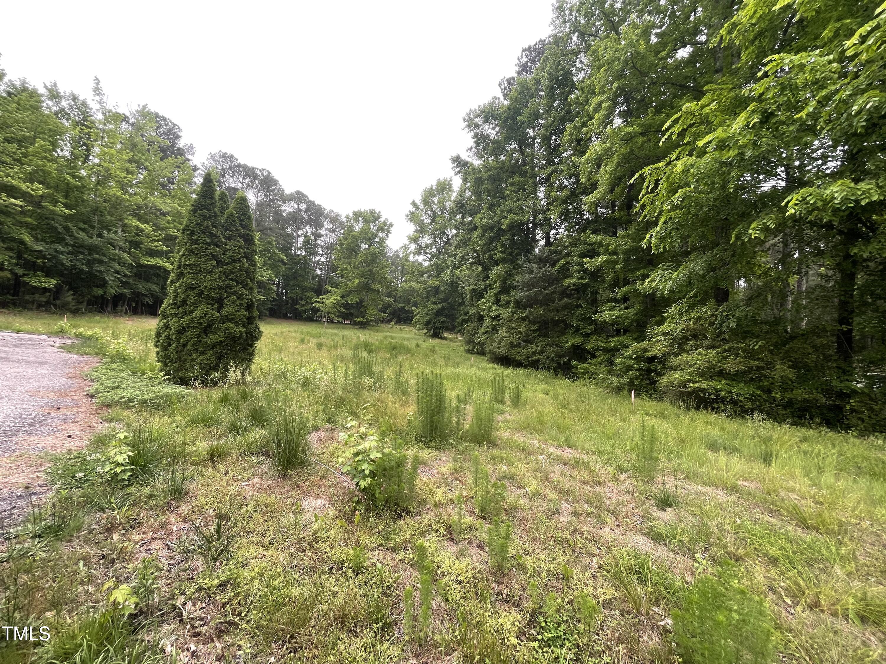 4628 Rogers Road Rolesville, NC 27571 - Photo 62 of 66 IMG_7566