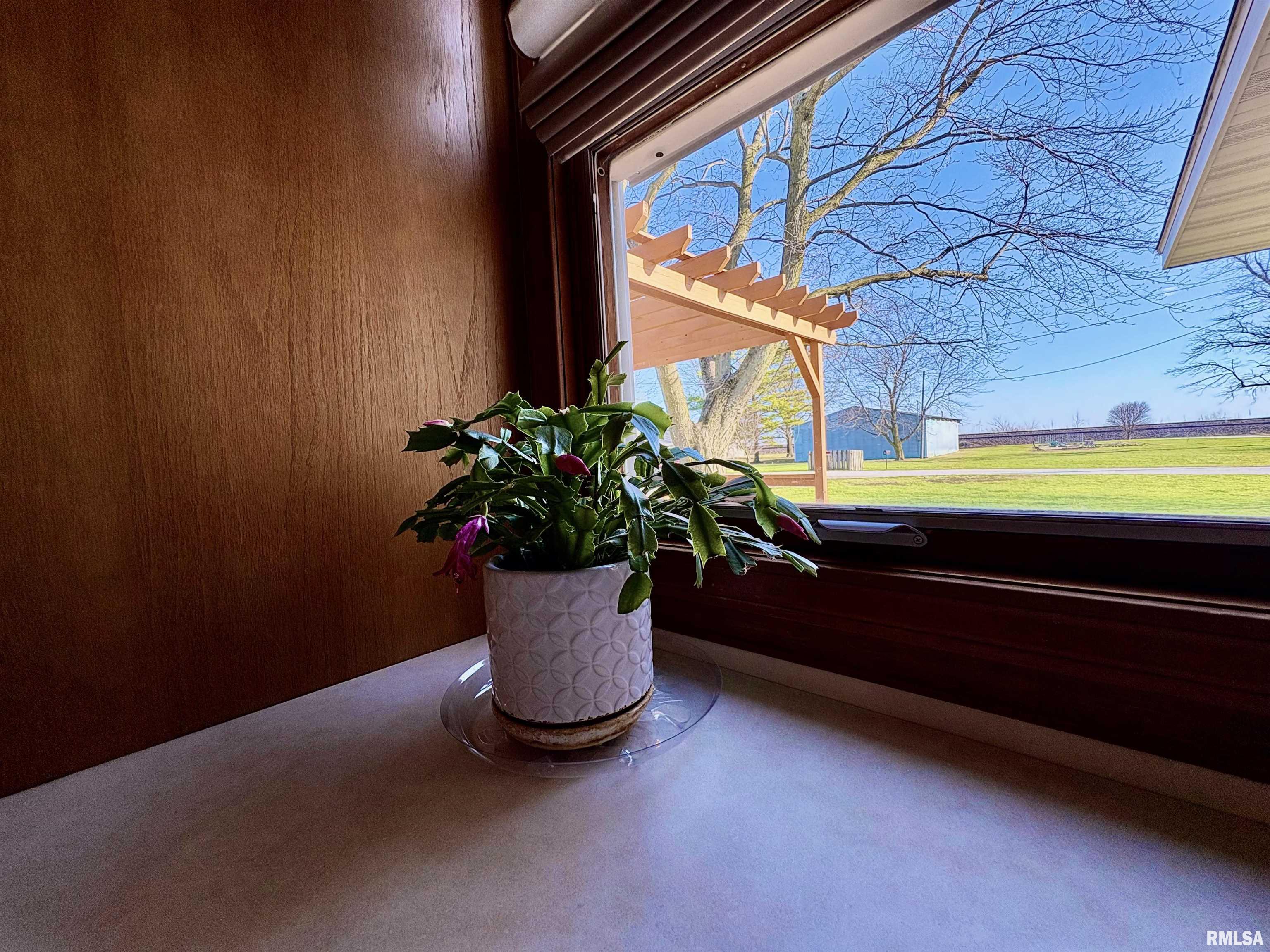901 East Old 36 Alexander, IL 62601 - Photo 39 of 97