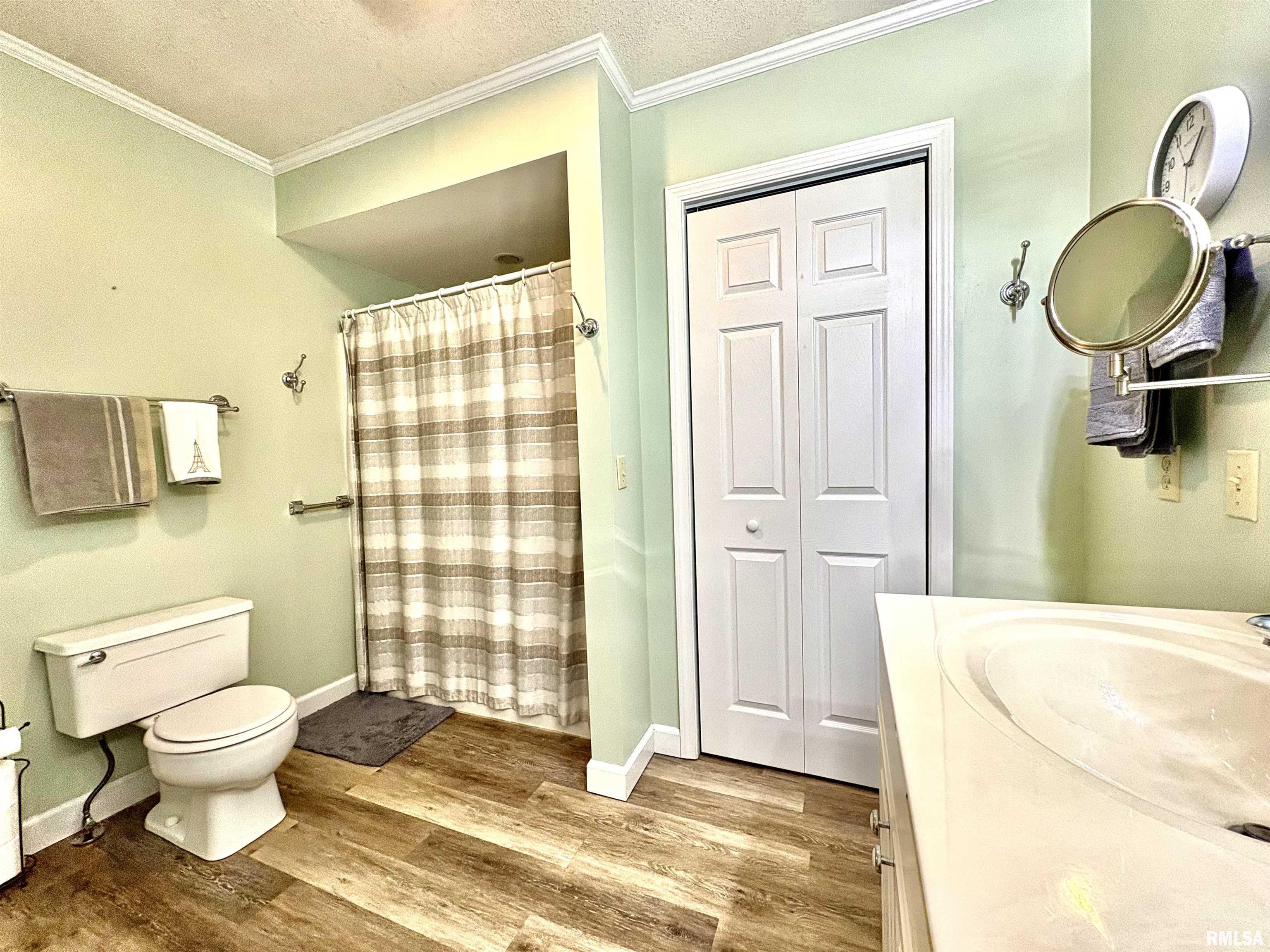 901 East Old 36 Alexander, IL 62601 - Photo 69 of 97