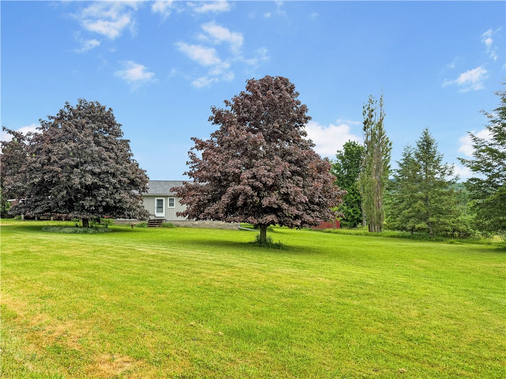 2179 Williams Road Rathbone, NY 14801 - Photo 3 of 36