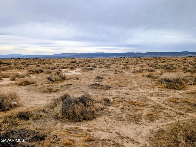 a view of a large yard with lots of trees