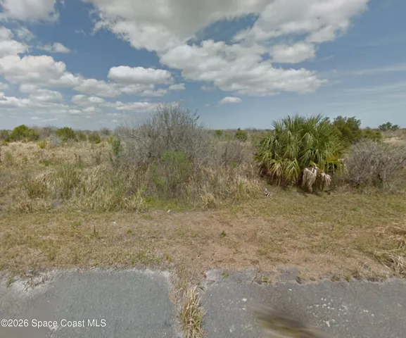 a view of a dry yard with trees