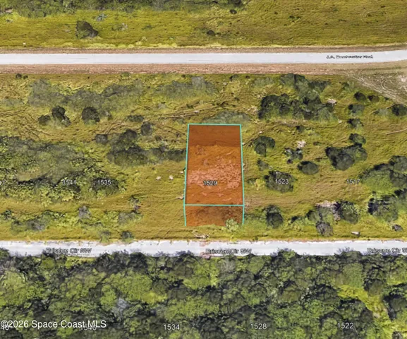 a view of beach with ocean