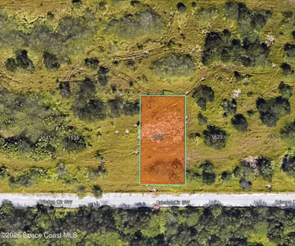 a close up of a mirror