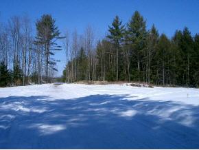 0 Skunk Hollow Road Jericho, VT 05465 - Photo 2 of 6