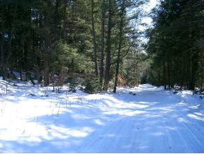 0 Skunk Hollow Road Jericho, VT 05465 - Photo 3 of 6