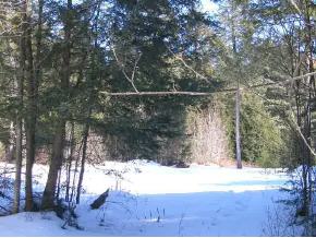0 Skunk Hollow Road Jericho, VT 05465 - Photo 5 of 6