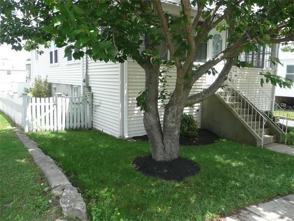 21 Lund Road Medford, MA 02155 - Photo 6 of 23 Gallery Image 6
