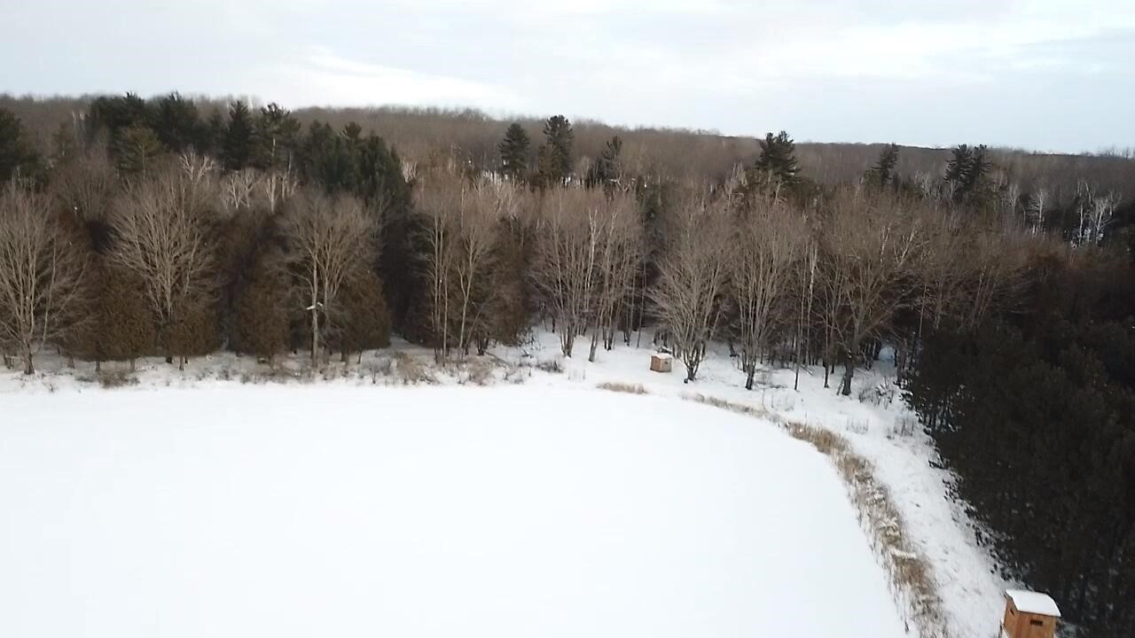 11 11 Mile Road Lakeview, MI 48850 - Photo 22 of 24 Gallery Image 22