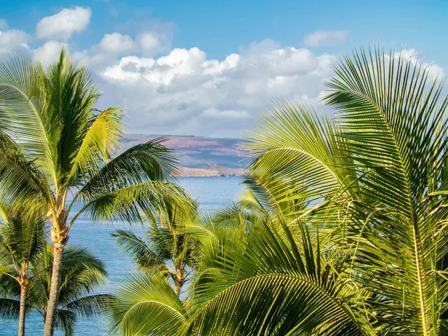 $4,850,000 | 4400 Makena Road, Unit 604, Kihei, HI 96753