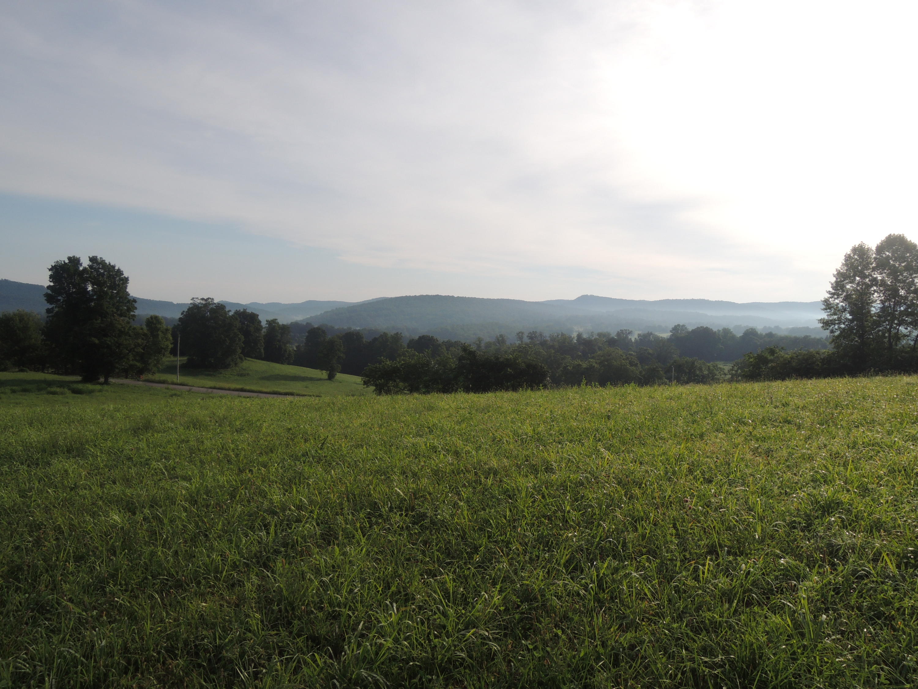 5451 Buck Mountain Road Pall Mall, TN 38577 - Photo 1 of 7 07112017 001