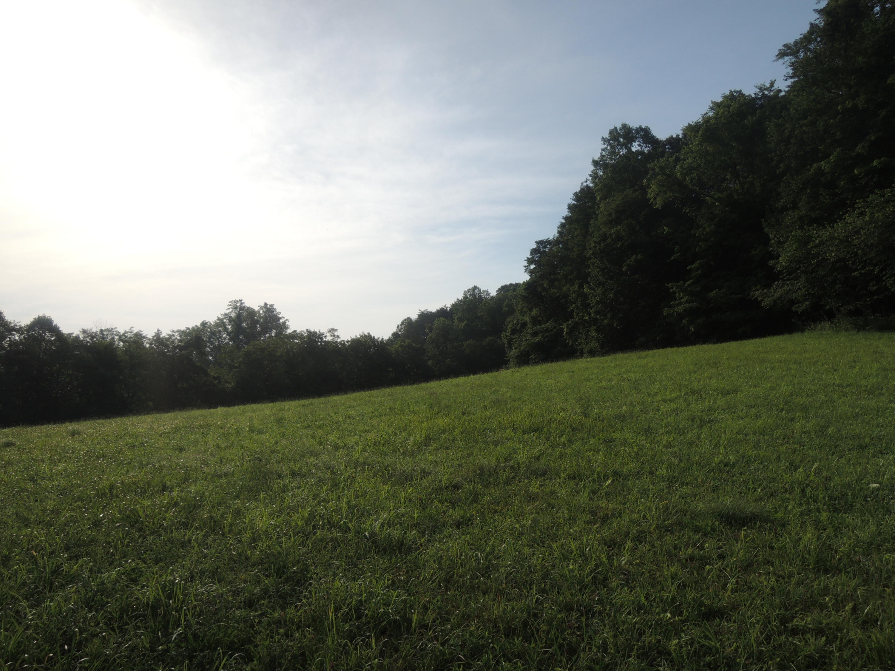 5451 Buck Mountain Road Pall Mall, TN 38577 - Photo 2 of 7 07112017 002