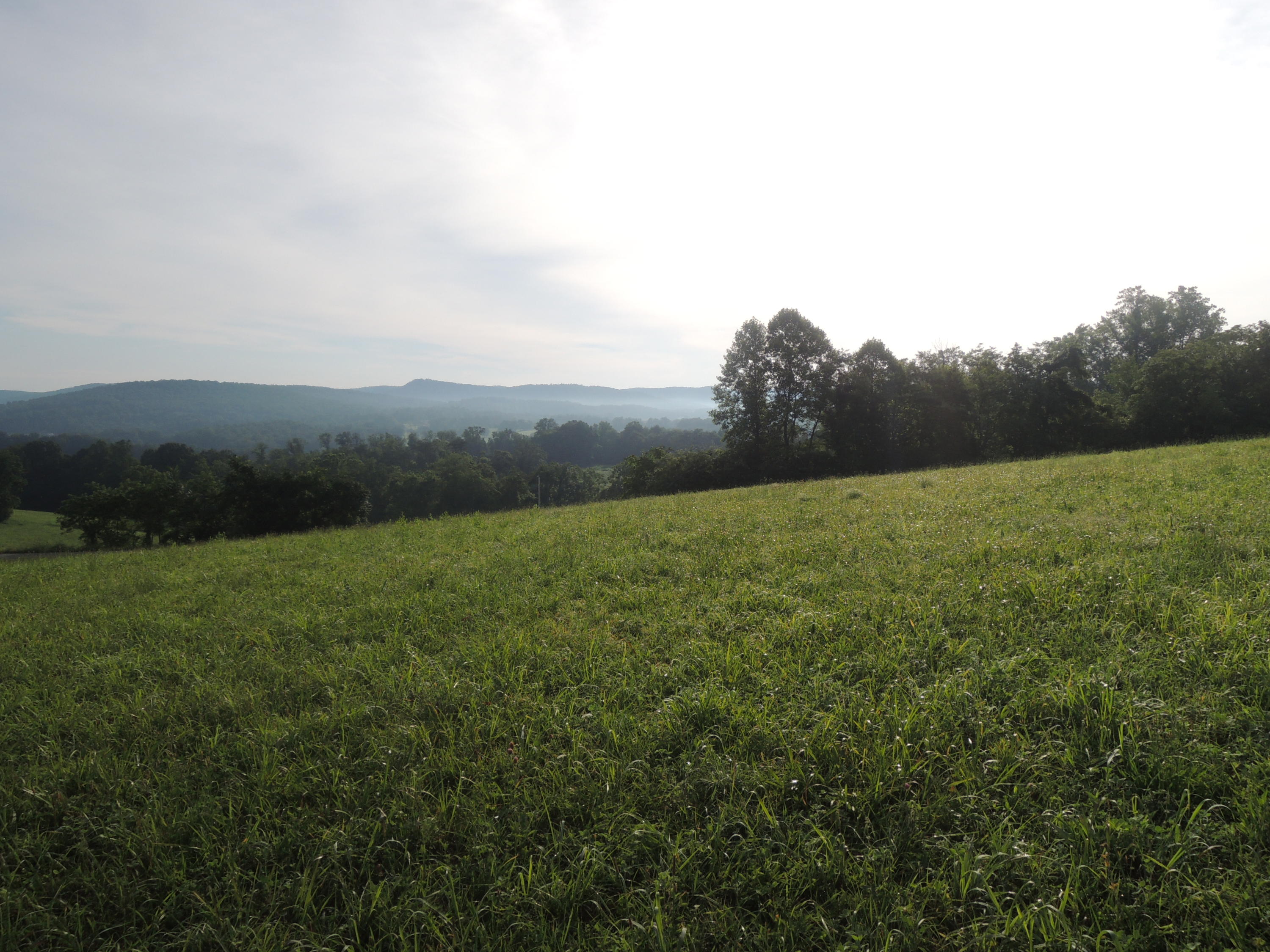 5451 Buck Mountain Road Pall Mall, TN 38577 - Photo 3 of 7 07112017 003