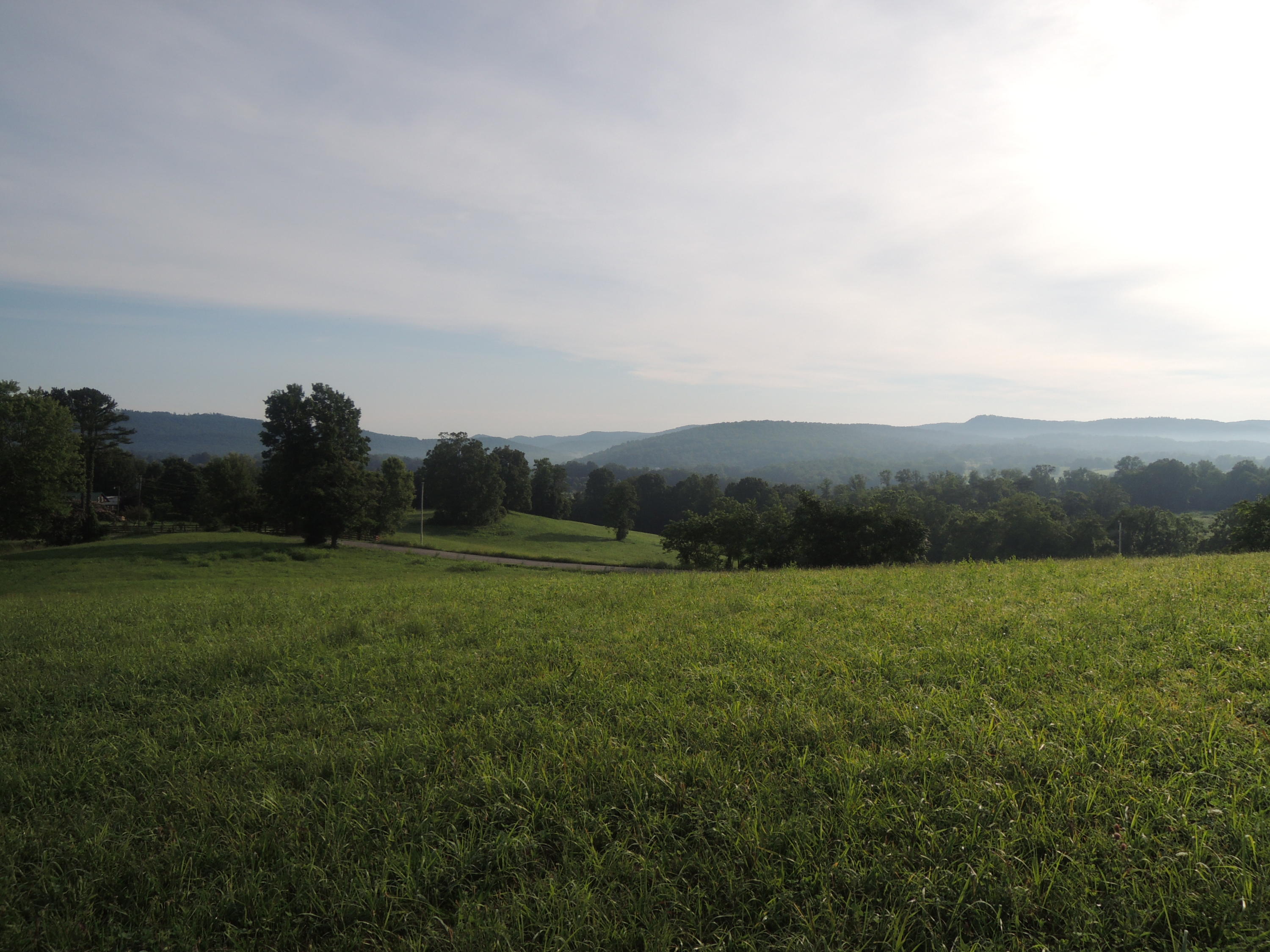 5451 Buck Mountain Road Pall Mall, TN 38577 - Photo 4 of 7 07112017 004