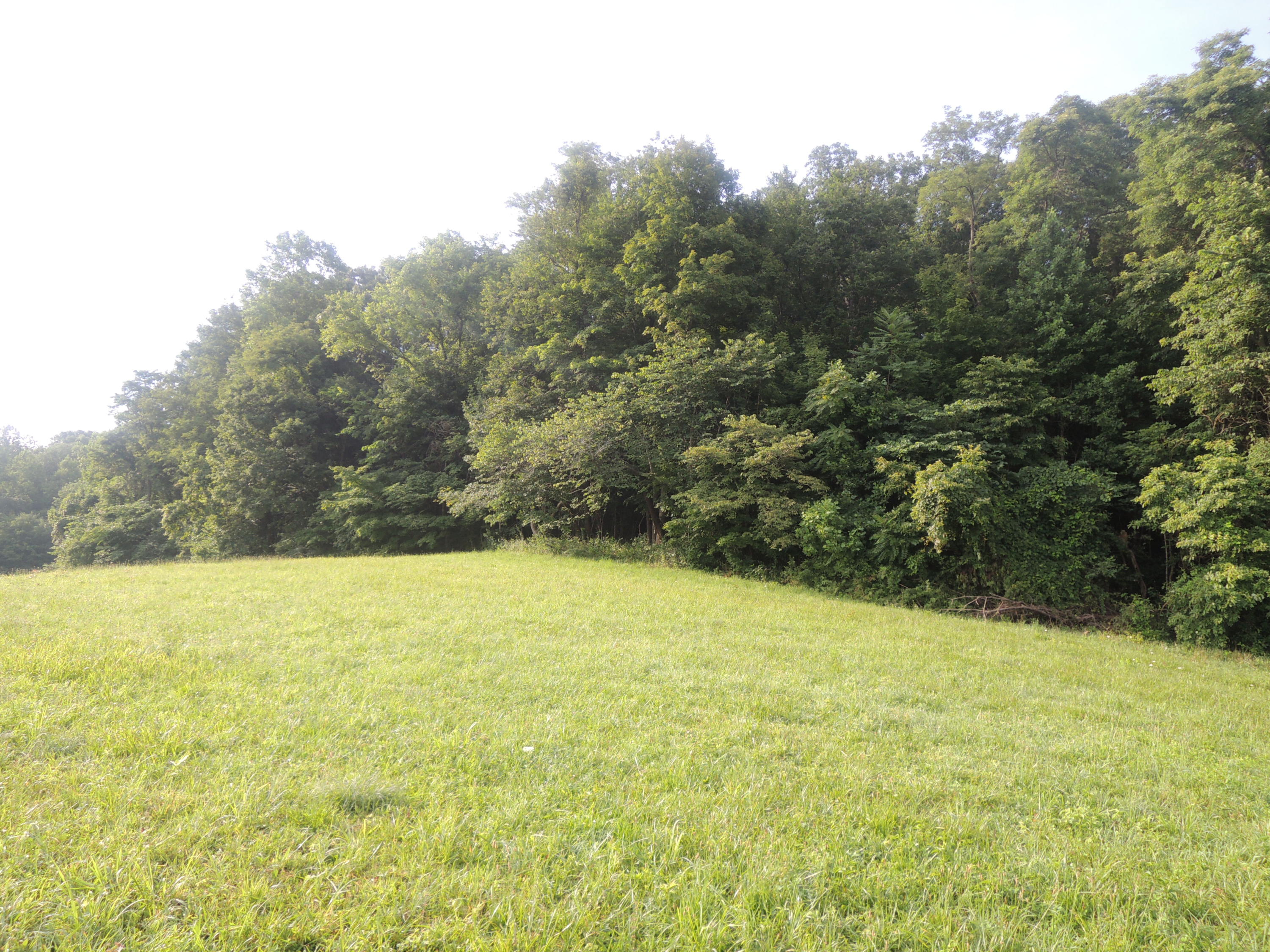 5451 Buck Mountain Road Pall Mall, TN 38577 - Photo 6 of 7 07112017 006