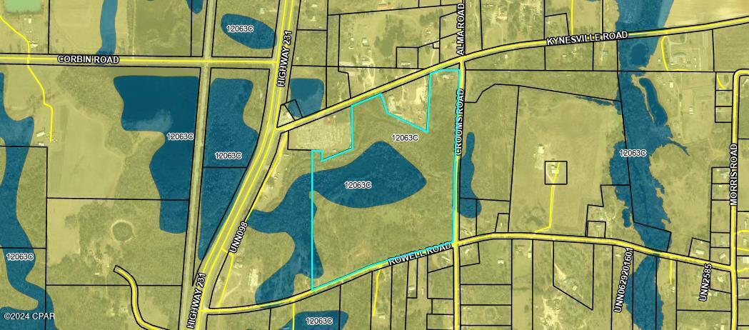 2597 Kynesville Road Cottondale, FL 32431 - Photo 3 of 27 Gallery Image 3