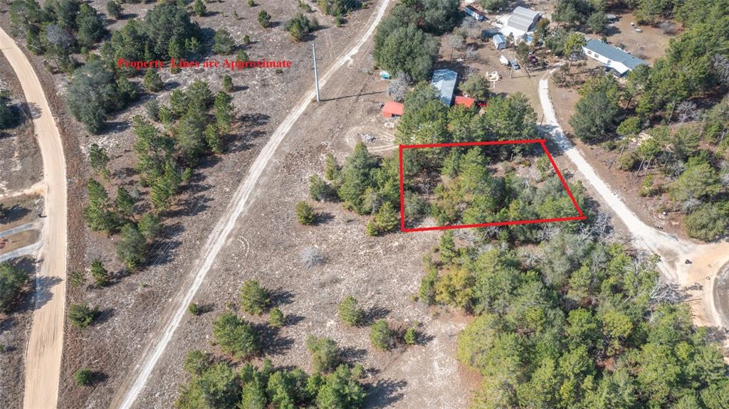 5851 Hillridge Road Keystone Heights, FL 32656 - Photo 4 of 11 a view of a garden with flowers