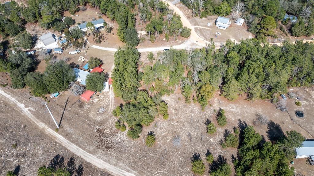 5851 Hillridge Road Keystone Heights, FL 32656 - Photo 5 of 11 a view of a wooden house with large trees