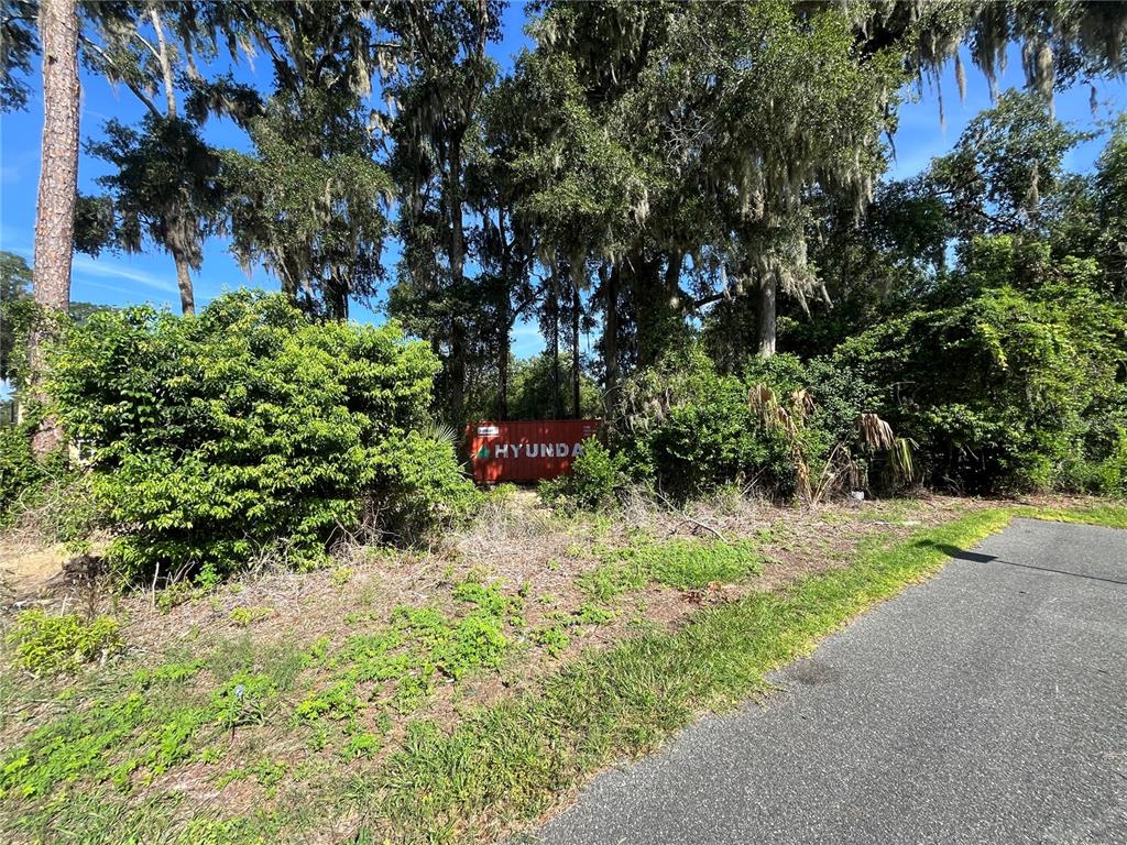 Northwest 12th Avenue Gainesville, FL 32601 - Photo 2 of 5 a plant that is in middle of garden