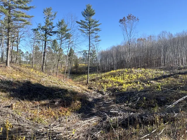 $903,513 | Tbd North Larsen Road, Hayward, WI 54843