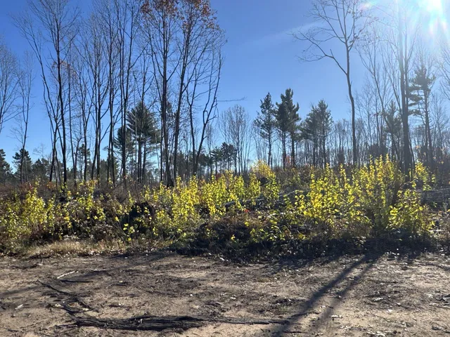 $903,513 | Tbd North Larsen Road, Hayward, WI 54843