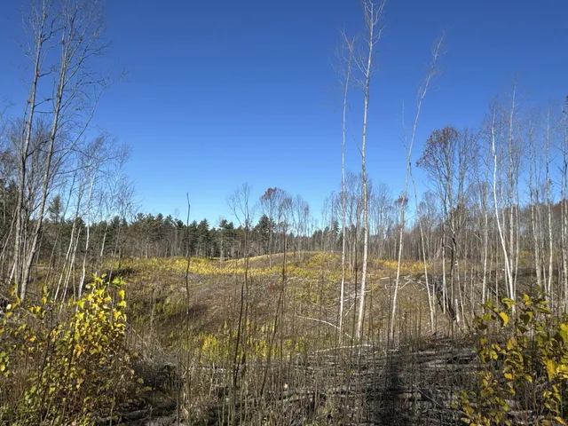 $903,513 | Tbd North Larsen Road, Hayward, WI 54843