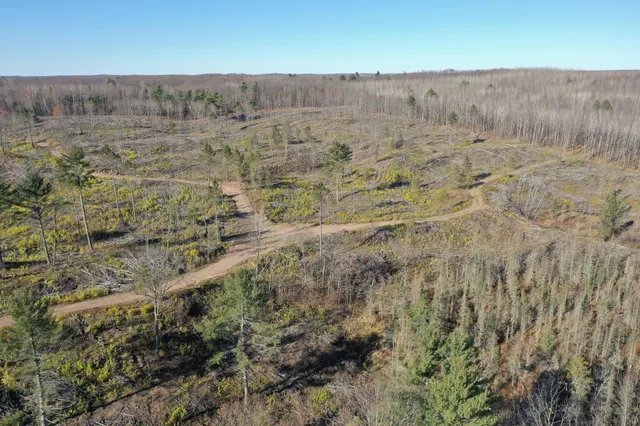 $903,513 | Tbd North Larsen Road, Hayward, WI 54843