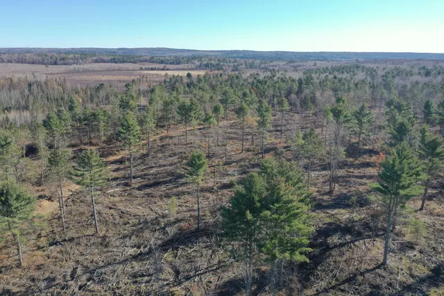 $903,513 | Tbd North Larsen Road, Hayward, WI 54843