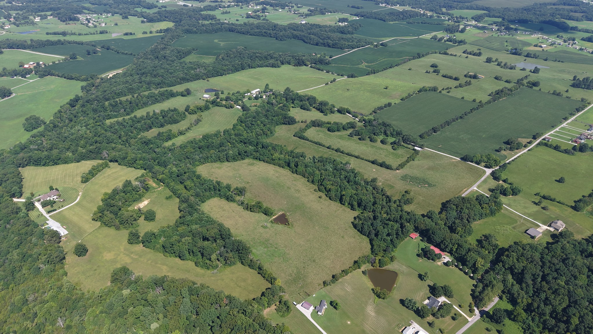 150 Piper Road Portland, TN 37148 - Photo 8 of 50 Gallery Image 8