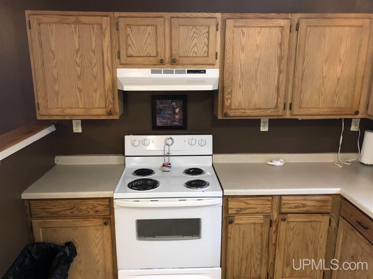 337 Carp Street Ishpeming, MI 49849 - Photo 3 of 25