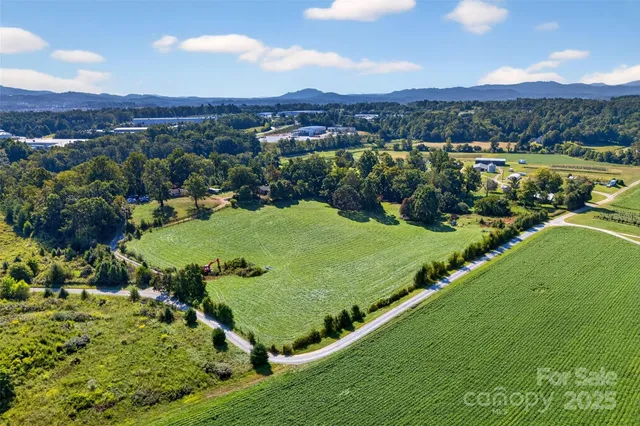a view of a lush green hillside and a houses