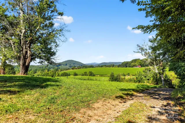 a view of a garden with an trees