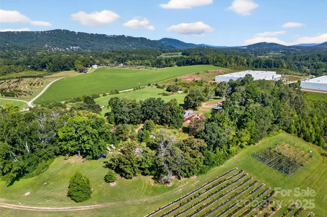 a view of a lush green hillside and a houses