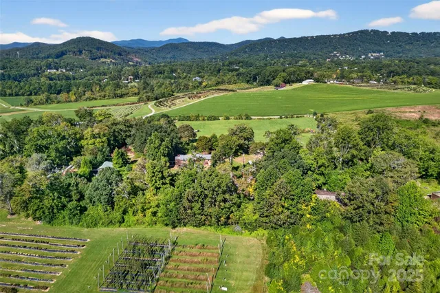 a view of a lush green hillside and a houses
