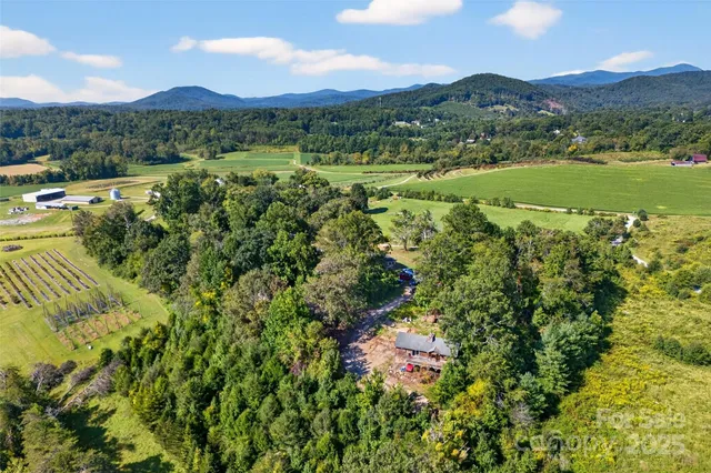 a view of a lush green hillside and houses