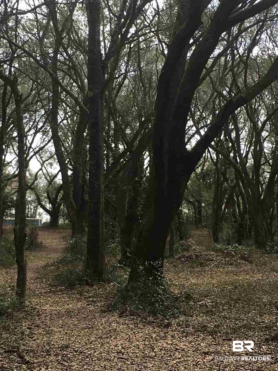 9690 Sherman Road Foley, AL 36535 - Photo 15 of 19