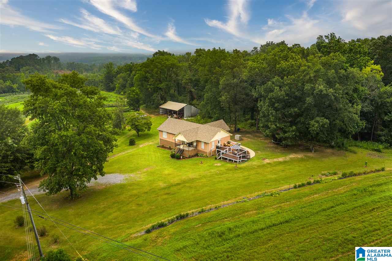 3408 Highway 1 Oneonta Al Oneonta, AL 35121 - Photo 48 of 50