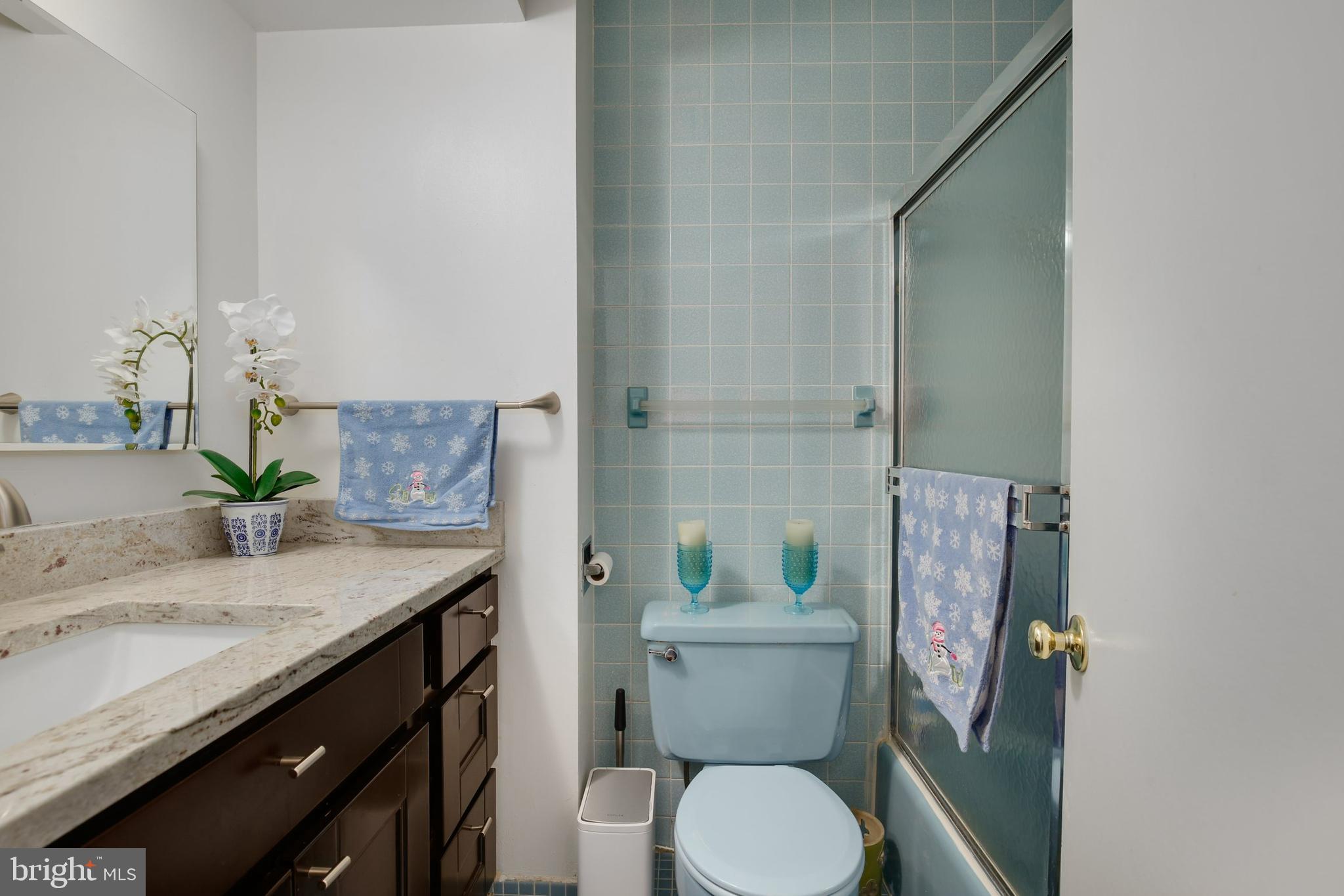 12916 Bluet Lane Silver Spring, MD 20906 - Photo 65 of 79