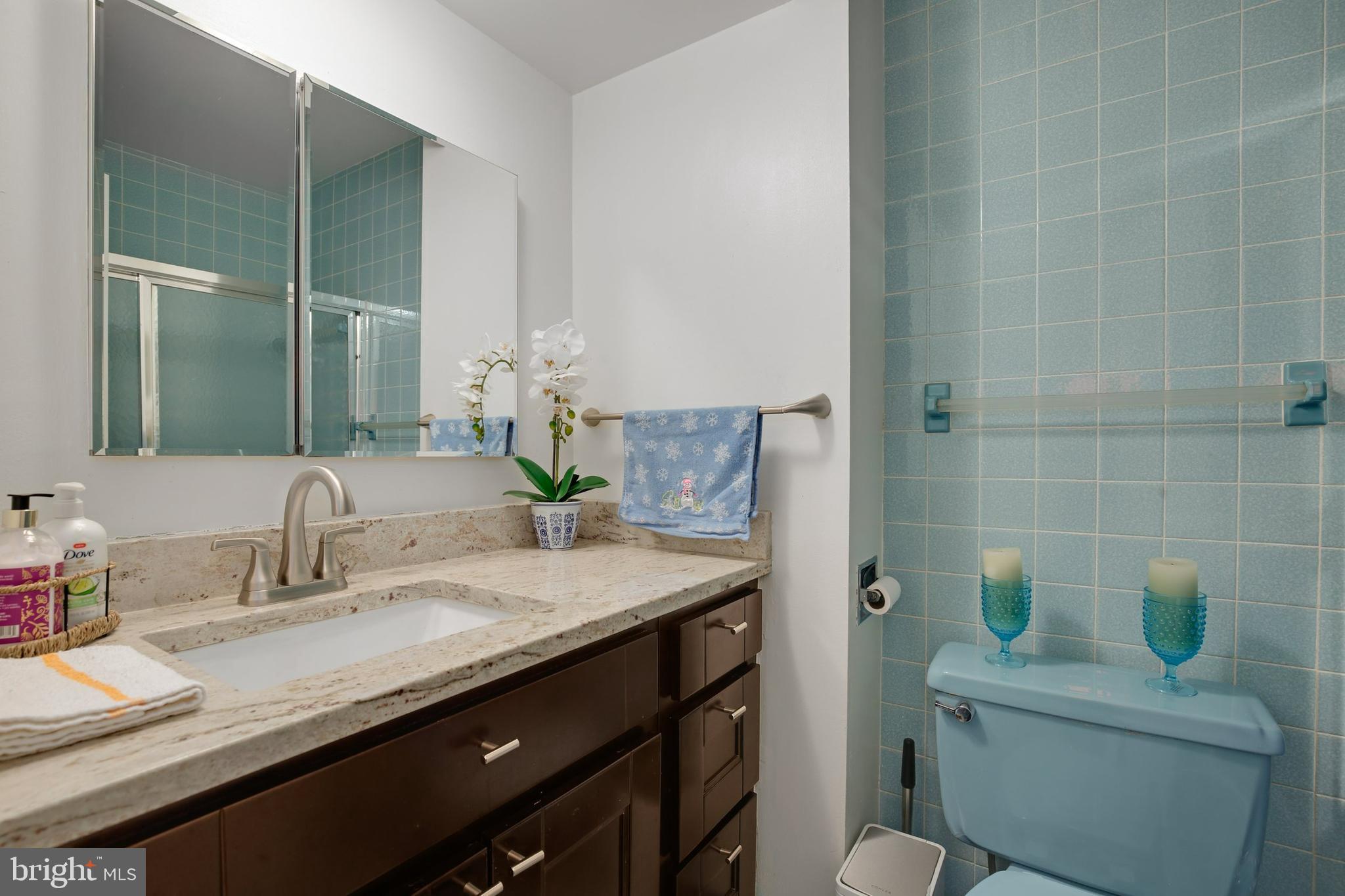 12916 Bluet Lane Silver Spring, MD 20906 - Photo 66 of 79