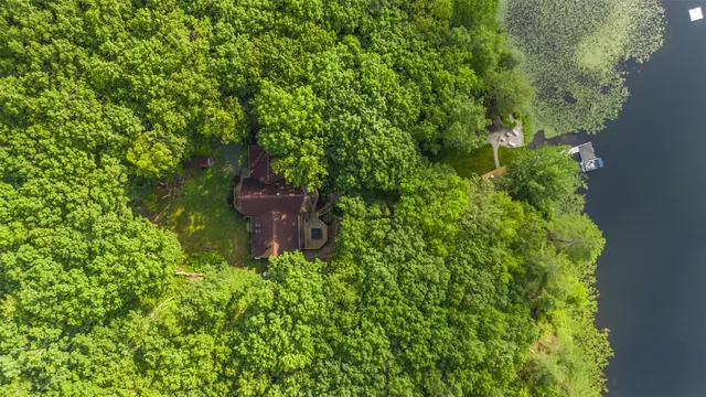 a view of a garden with plants