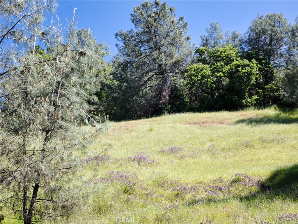 6983 Leslie Road Lucerne, CA 95458 - Photo 2 of 11 a view of a yard with a tree