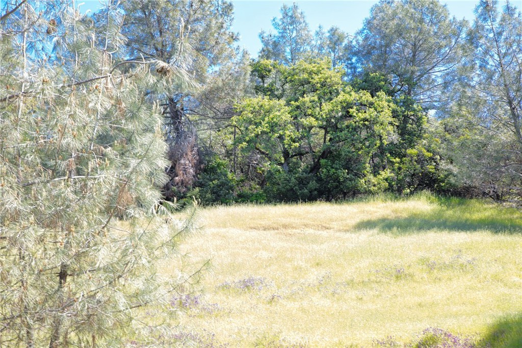 6983 Leslie Road Lucerne, CA 95458 - Photo 4 of 11 a view of beach and yard