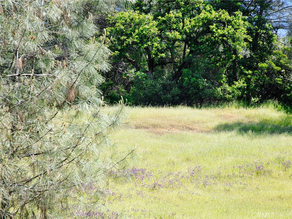 6983 Leslie Road Lucerne, CA 95458 - Photo 5 of 11 a view of a lake view