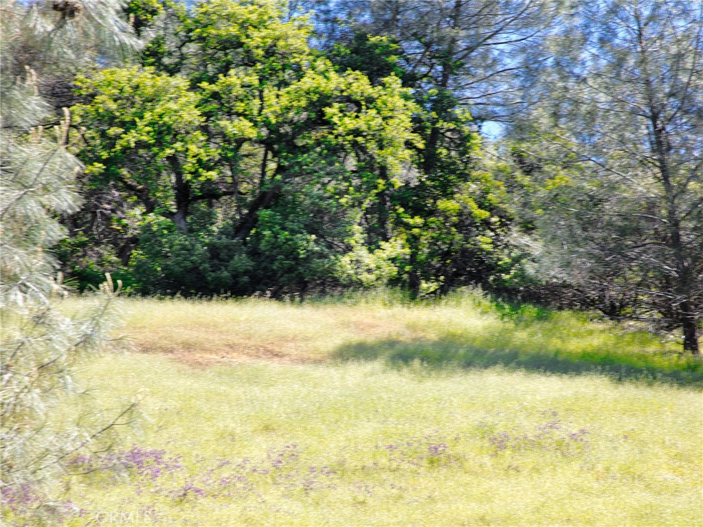 6983 Leslie Road Lucerne, CA 95458 - Photo 6 of 11 a view of beach and swimming pool