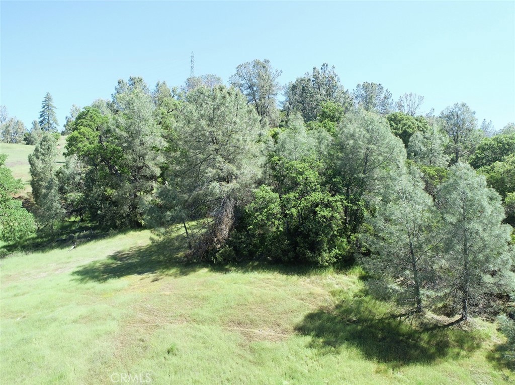 6983 Leslie Road Lucerne, CA 95458 - Photo 10 of 11 a view of a yard