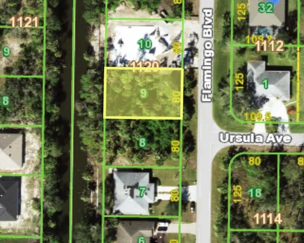 an outdoor view of garden