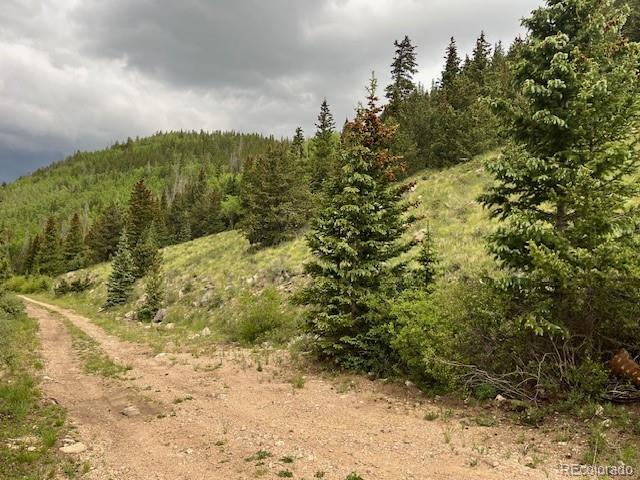 6650 Forbes Road Fort Garland, CO 81133 - Photo 1 of 22 Gallery Image 1