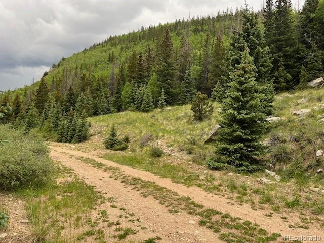 6650 Forbes Road Fort Garland, CO 81133 - Photo 8 of 22 Gallery Image 8