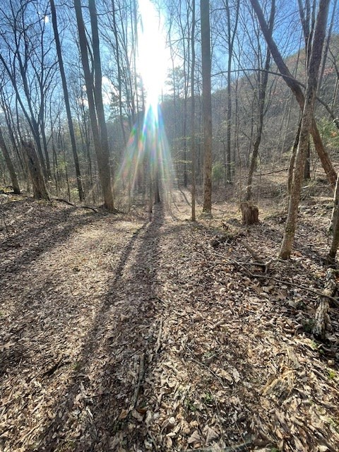 0 Lost Silver Mine Road Cisco, GA 30708 - Photo 3 of 5 Gallery Image 3